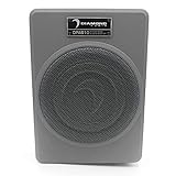 Diamond Audio DPAS10 10' Low Profile Amplified Subwoofer