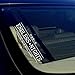 OwnTheAvenue Endless Nights Japanese Decal Sticker Lowered JDM Race Drift 7.75" #223