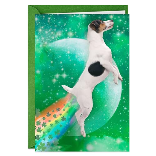 Hallmark Shoebox Funny St. Patrick's Day Card (Dog Tooting Rainbows) for Kids, Grandchildren, Friends