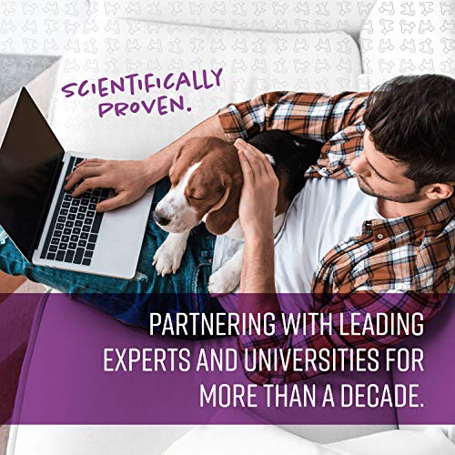 Sentry Pet Care Stop That! Behavior Correction Spray for Dogs, Easy Spray Application, Noise and Pheromones Help Eliminate Excessive Barking, Marking, Jumping, and Other Unwanted Behaviors