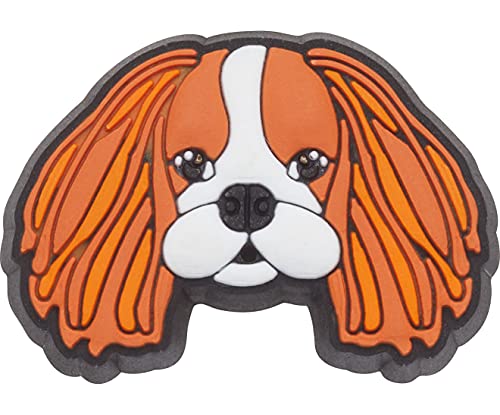Image of Crocs Jibbitz Pet SHOE ACCESSORY| Jibbitz for Crocs, King Charles Cavalier, Small