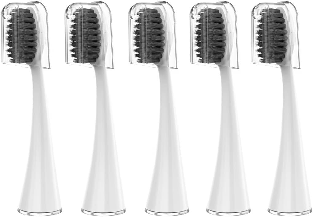 Replacement Toothbrush Heads for Burst Electric Toothbrush