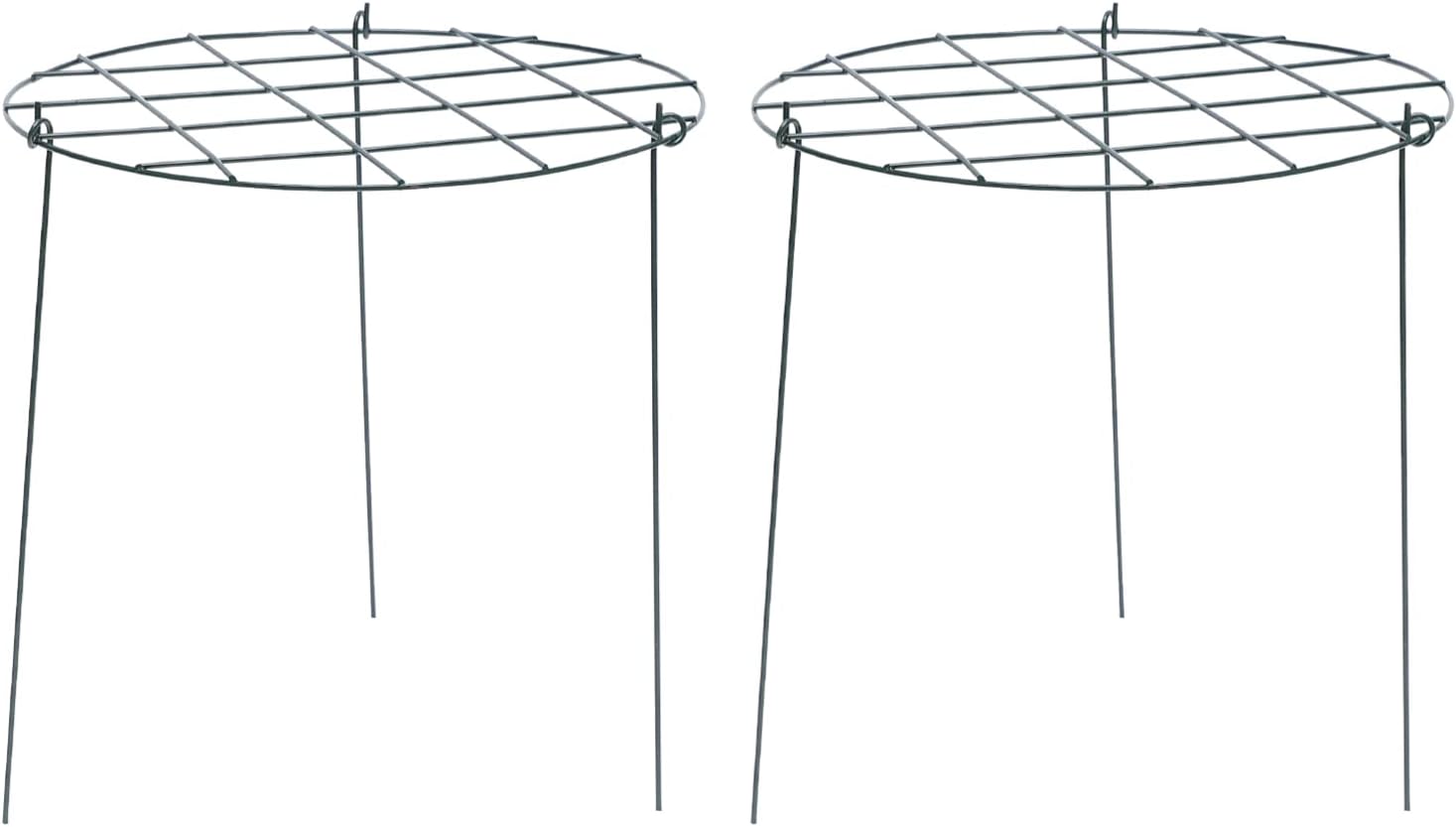 GANAZONO 2pcs Plant Support Plant stem Support Stakes
