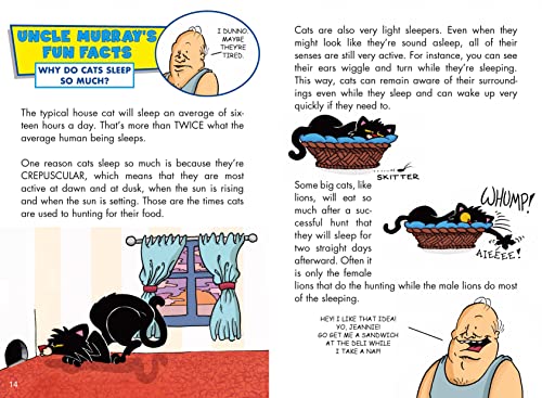 Happy Birthday, Bad Kitty (full-color edition) - Image 7