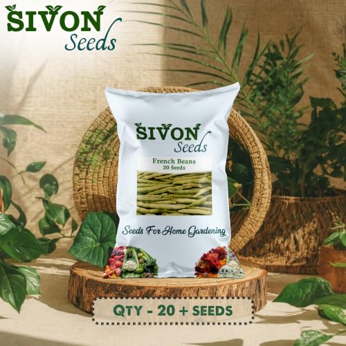 Image of SIVON French Beans (French Beans) (20 Seeds) Vegetable Seeds for Home Garden, Organic & Hybrid, Perfect for Home Gardening, Planting For Pots and Patio