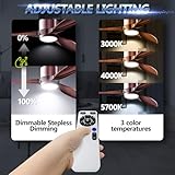 Zoom IMG-2 hooled ventilatore da soffitto con Zoom IMG-2 hooled ventilatore da soffitto con