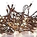 612 Vermont 100 Clear Mini Christmas String Lights on Brown Wire Cord, UL Approved for Indoor/Outdoor Use, 18 Foot of Lighted Length, 20 Foot of Total Length (Pack of 2)