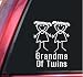 Grandma Of Twins Girl/Girl White Vinyl Decal Sticker