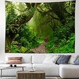 Skcess B0CZS16MCG lato 4