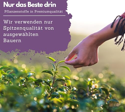 EXVital Ruhepause, mit Baldrian & Ashwagandha, Hochdosiert mit 500 mg Baldrian pro Tagesdosis, 200 vegane Kapseln reichen für 100 Tage! Frei von Zusätzen & in Deutschland hergestellt