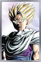 Silver Framed Version