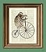 Holden the Hipster Sloth on a Penny Farthing bicycle dictionary page book art print