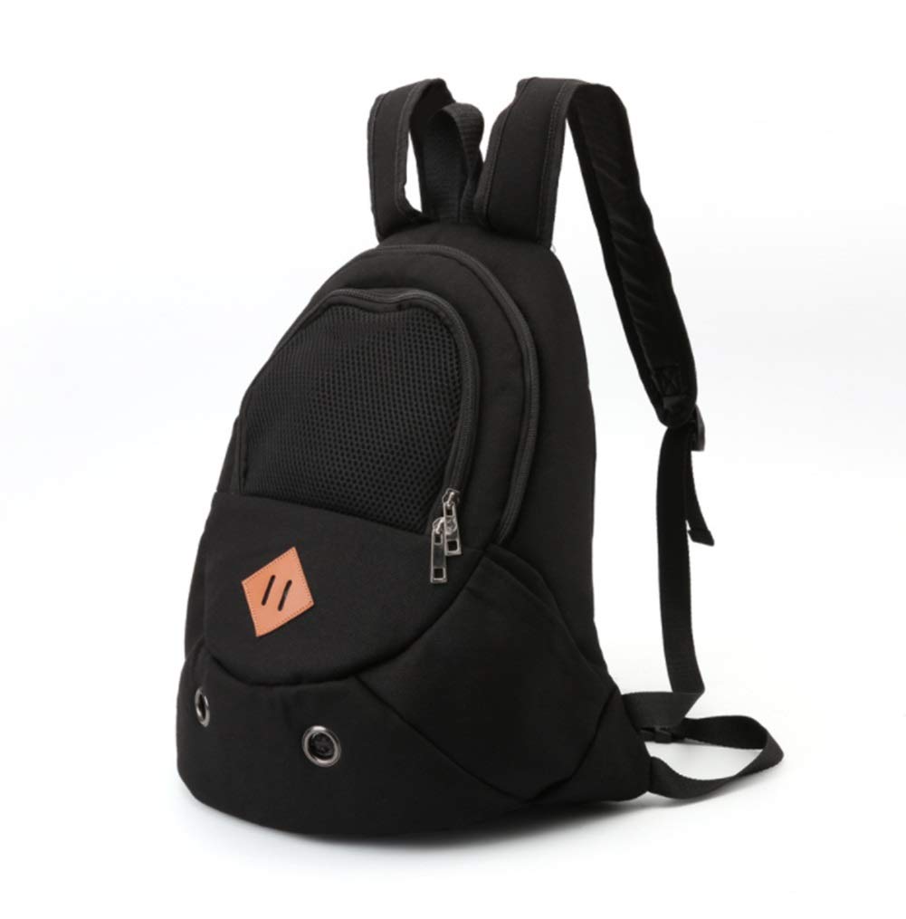 Sac à dos pour chien contre la fatigue des petites pattes 43cm
