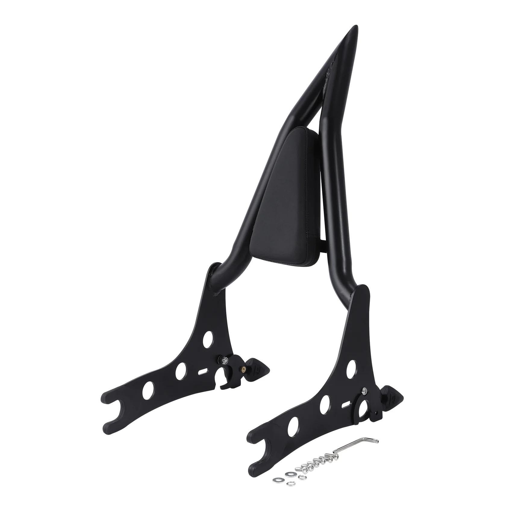 Schienale Passeggero Posteriore Sissy Bar per I&ndian Chieftain 2014 2015 2016 2017 2018 2019 2020 2021 2022