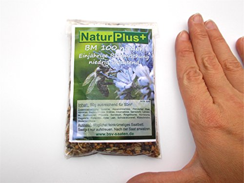 ERRO Einjährige Blühmischung, Bienenweide niedrig wachsend 50g, Blüten, Blumensaat, Blumenmischung, Geschenkidee für… – Bild 3