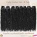 Beverlee Kinky Crochet Hair - 14 Inch Curly & Wavy Synthetic Pre-Looped Crochet Hair for Black Women - 8 Packs