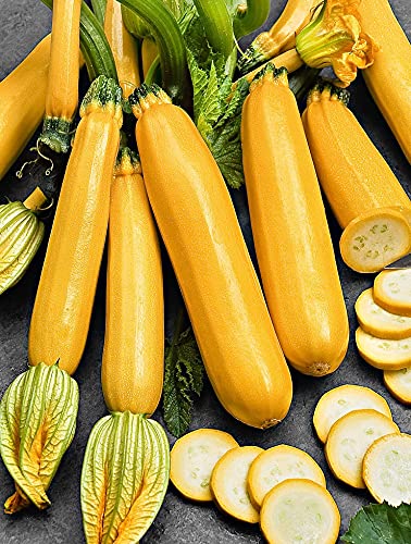 Raise Me Up: Seeds Easy Pick Gold Ii Zucchini Courgette Non Gmo Heirloom #TOP4