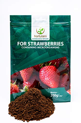 Hortulani Engrais pour Fraises - Engrais 100% Naturel, Biologique et microbiologique pour cultiver Les Meilleures Fraises. Paquet de 200g pour 20 m² Cover