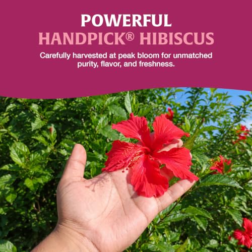 Image of HANDPICK Organic Hibiscus Tea (100 Tea Bags) Pure Indian Hibiscus Flowers