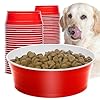 Party Dog Disposable Red Cup Style Pet Food Bowls for Cats and Dogs – Large and Small Sizes