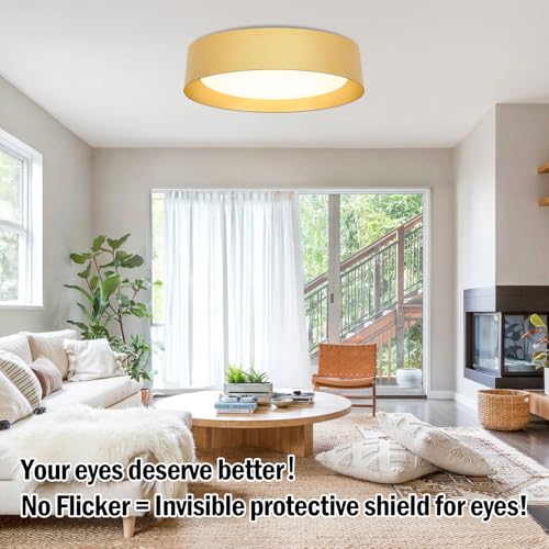 Image of Flush Mount Ceiling Light, 16in Modern Ceiling Light 5 Color Temperature