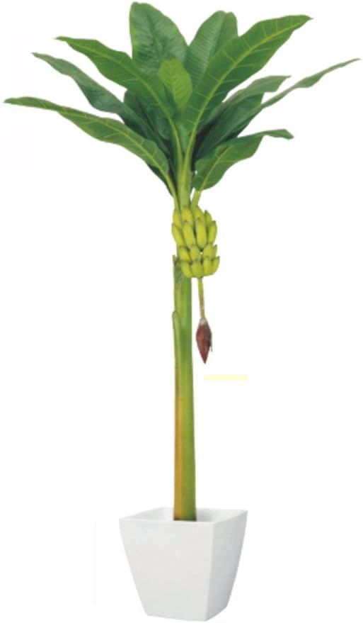 Amazon バナナツリー L 房バナナ付 人工観葉植物 人工観葉植物 オンライン通販