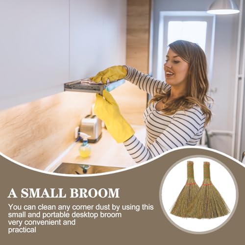 SHERCHPRY 2 Stücke Strohbesen Reisstrohbesen Handfeger Besenbürste Kehrbesen Staubbesen Kleine Natürliche Besen Reinigungsbesen für Indoor Outdoor Zuhause Garten Bodenreinigung