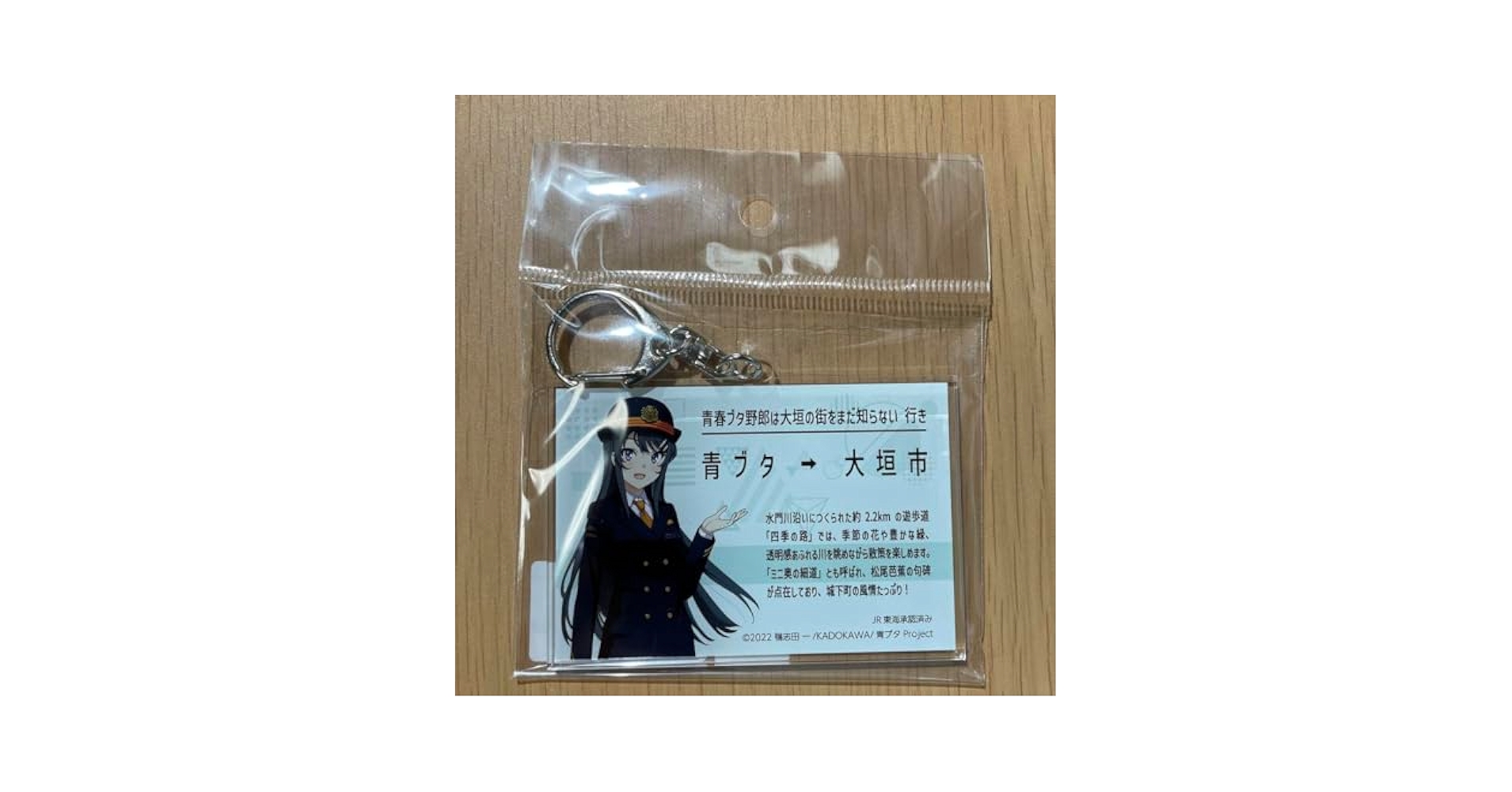 Amazon.co.jp: 青春ブタ野郎は大垣の街をまだ知らない きっぷ