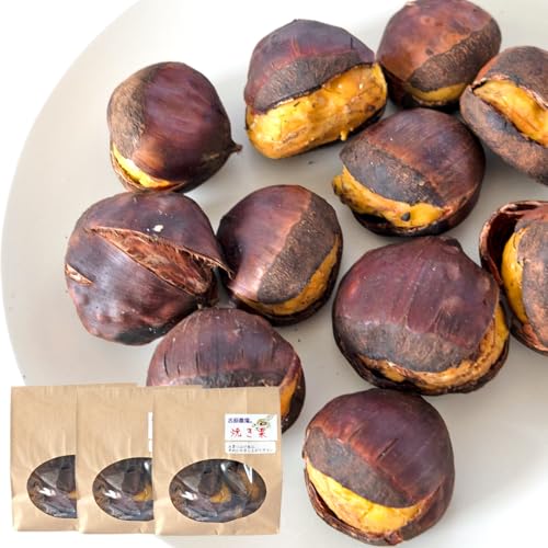 [ 先行予約 ][ 吉原農場 の 完熟栗 ]熟成 焼き栗 (200g × 3袋) 完熟 栗 くり クリ 栗ごはん 果物 フルーツ 贈答 ギフト 旬 秋の味覚 秋 冬 正月 おせち[ 2025年10月下旬発送開始 ] [FC008sa]