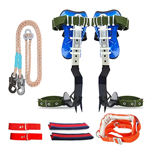 The Best shoes for climbing trees Top 10 Picks By An Expert Maine