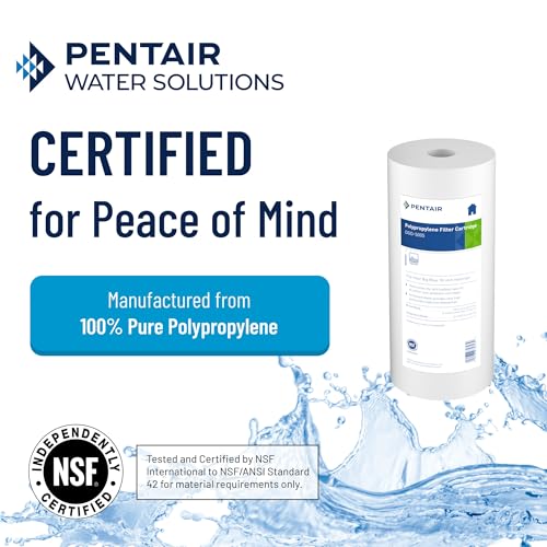 Pentair Big Blue Water Filter in Use