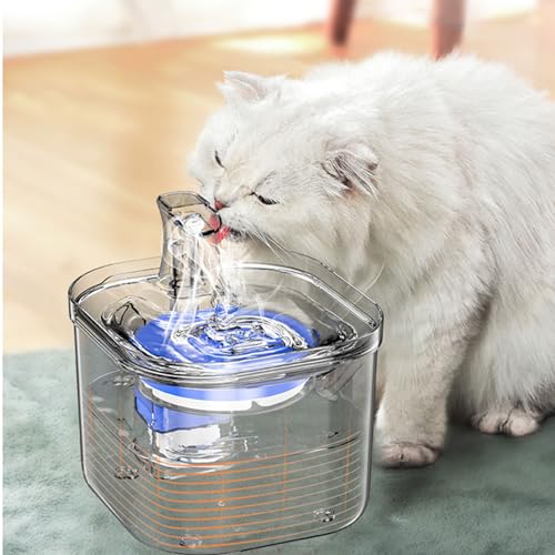Fuente automática para mascotas dispensador de agua miniatura 4