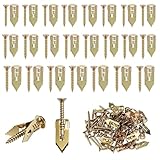 Touosy 66 Pezzi Tasselli per Cartongesso Autoforante, Viti di Fissaggio Cartongesso Tasselli Pareti in Muratura a Cassa Vuota per Pannelli Isolanti, Lamelle, Lampade e Montaggio a Soffitto (A)