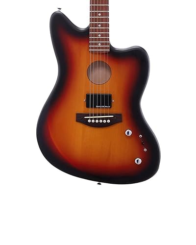 【IA 6個セット】IA/01、02、03、04、 IA×ギターマガジン、VT MFG-AC-22 – Zemaitis Guitar Company