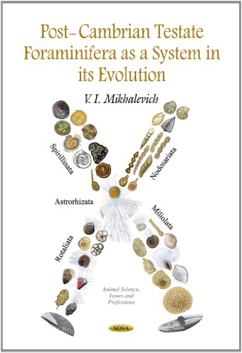 Post-Cambrian Testate Foraminifera As a System in Its Evolution (Animal Science, Issues and Professions)