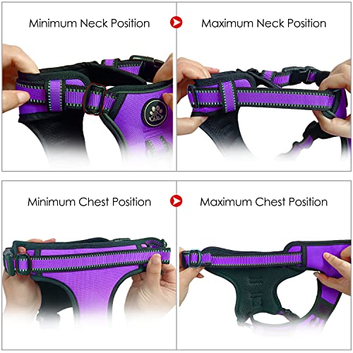 Nestroad No Pull Dog Harness,Adjustable Oxford Dog Vest Harness With Leash,Reflective No-Choke Pet Harness With Easy Control Soft Handle For Small Dogs(Small,Purple) #TOP4