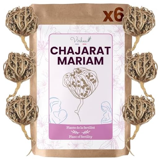 VIRHEA® Chajarat Mariam Rosa de Jerico por Fertilidad x6 - Planta Natural Auténtica para Fertilidad - Flor de Jerico Viva - Beneficios Espirituales y Naturales - Rosa del Desierto para Bienestar