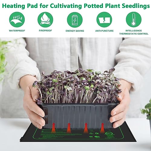 Aisny Heizmatte für Sämlinge, 50W Zimmergewächshaus Wärmematte Thermostatregler 68°F-86°F Reptilien Haustiere Wärmeplatte Amphibien Temperatur Heizkissen Pflanzen Mat Wärmer, 25 x 52 cm