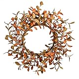 YNYLCHMX 18' Fall Wreaths for Front Door, Artificial Autumn Wreath, Fall Door Wreath with Brown Eucalyptus Leaves for Home Porch Window Wall Farmhouse Decor, Indoor Outdoor, Holiday Decor