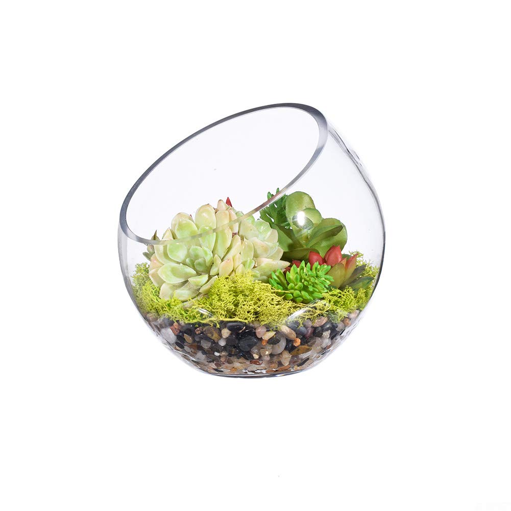 Decorhome Fischschalen-Vase – Runder Glas-Terrari Produktbild-Vorschau 1