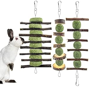 ERKOON 3PCS Bunny Chew Toys, Rabbit...