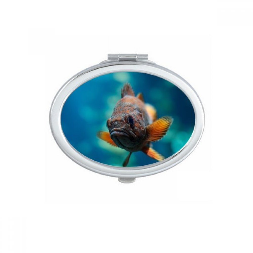 Miroir de poche méduse marine compact amovible et miroir ovale mignon