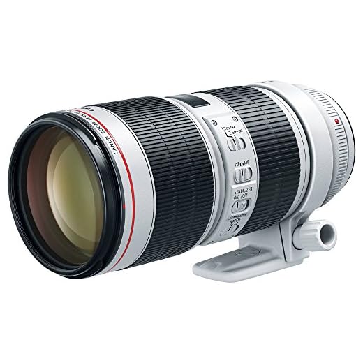 Canon EF 70-200mm f/2.8L IS III Lens