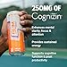BUM Sugar-Free Energy Drink, Orange Sunrise - Lightly Carbonated & No Artificial Colors, Natural Caffeine & Citicoline for Energy & Focus, Brain Boost & Workout Sports Beverage - 12 oz, Pack of 12