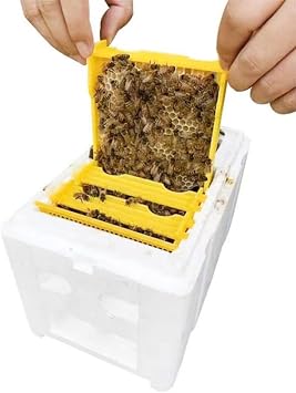 Queen Mini Bee Mating Nuc Box Queen Bee Breeding Box Pollination Box Foam Frames Beekeeping Tool Beekeeping Equipment Mating Nucs Hive Beekeeper Supplies