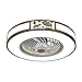 TZKUA Ventilateur de Plafond Vintage avec lumières, télécommande à Profil Bas pour Ventilateur de Plafond, Ventilateur de Plafond fermé à Vitesse Variable et réglable en Couleur