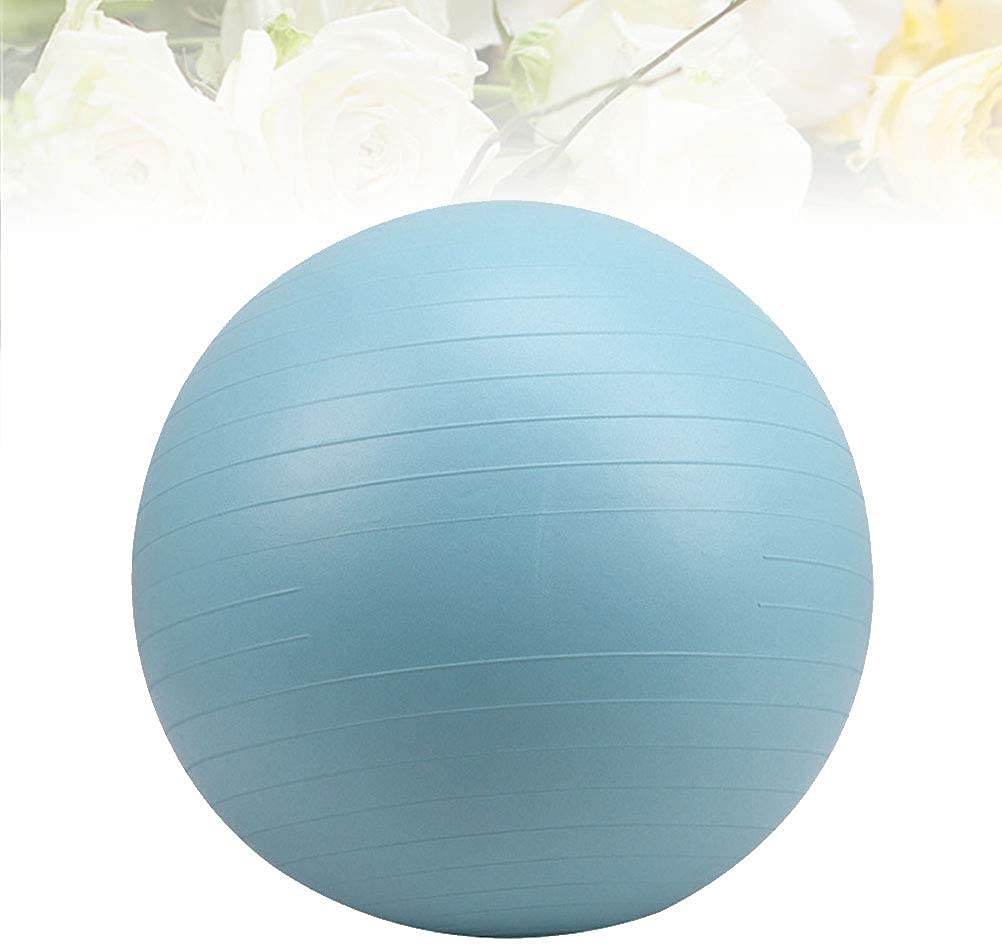 Kanduo Pelota de Yoga 65 cm Pilates Yoga Bola Auxiliar a Prueba de explosiones Ejercicio Bola Balance Ball Fitness Accesorio Pelota de Ejercicios