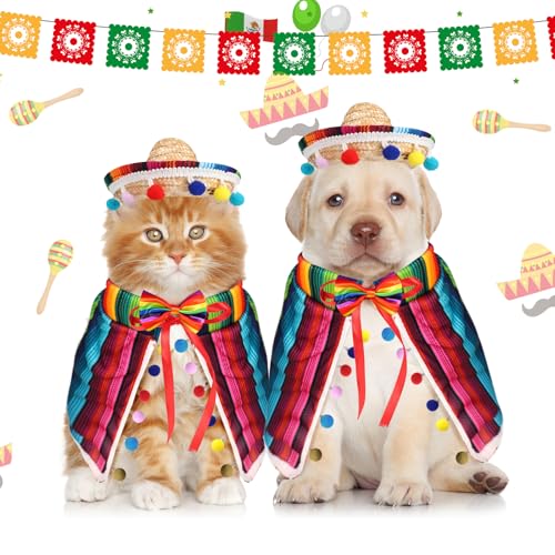 Disfraz Mexicano para Perro Pequeño con Sombrero y Accesorios miniatura 5