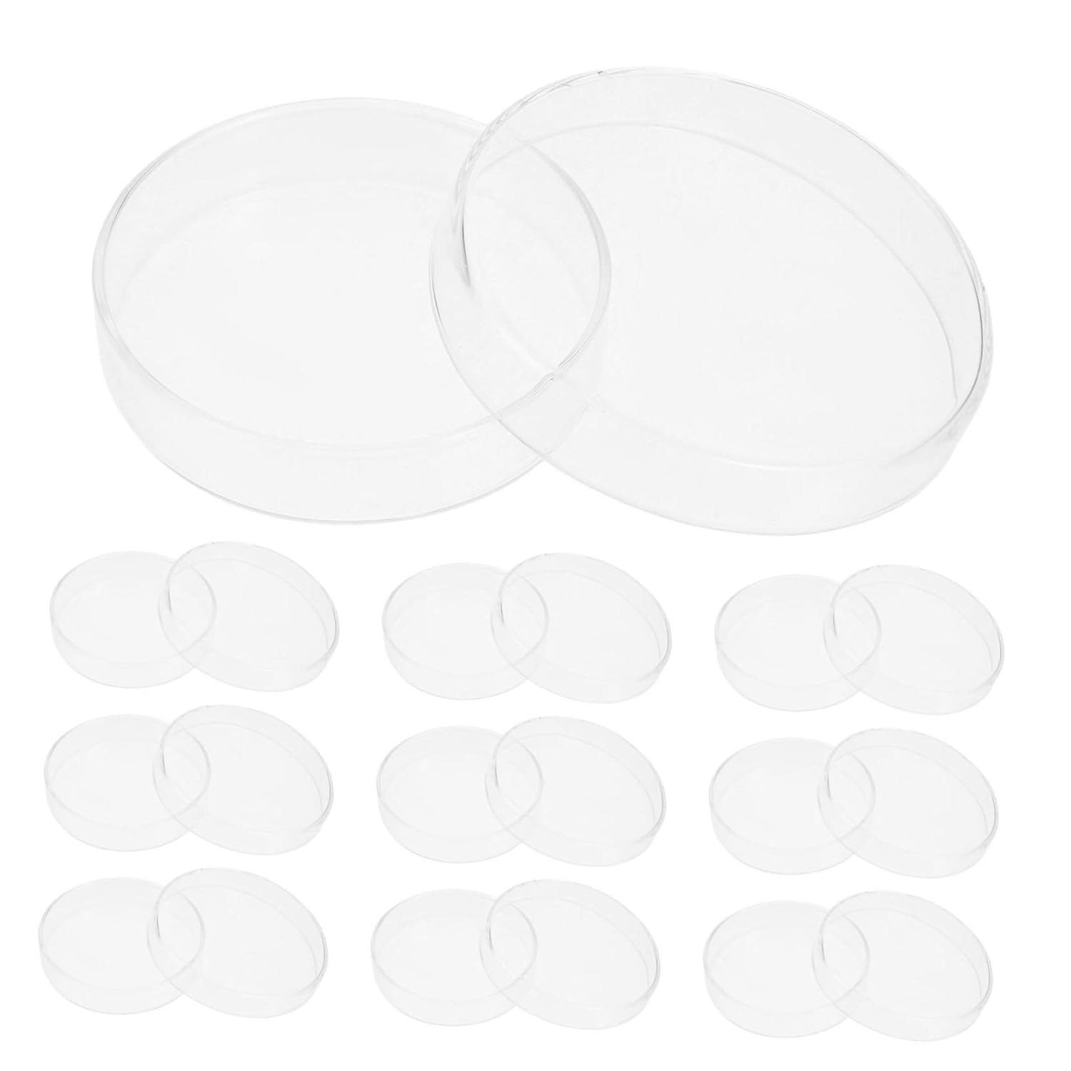 10pcs Borosilicate Glass Petri Dishes Reusable Culture Plates for Science Projects Educational Laboratory Use High-Temperature Resistant for Mushroom Cultivation