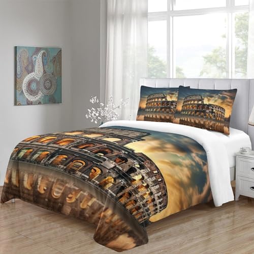 Juego de funda nórdica de Coliseo en microfibra King de 220x240 cm con 3 piezas para cama con cremallera 5